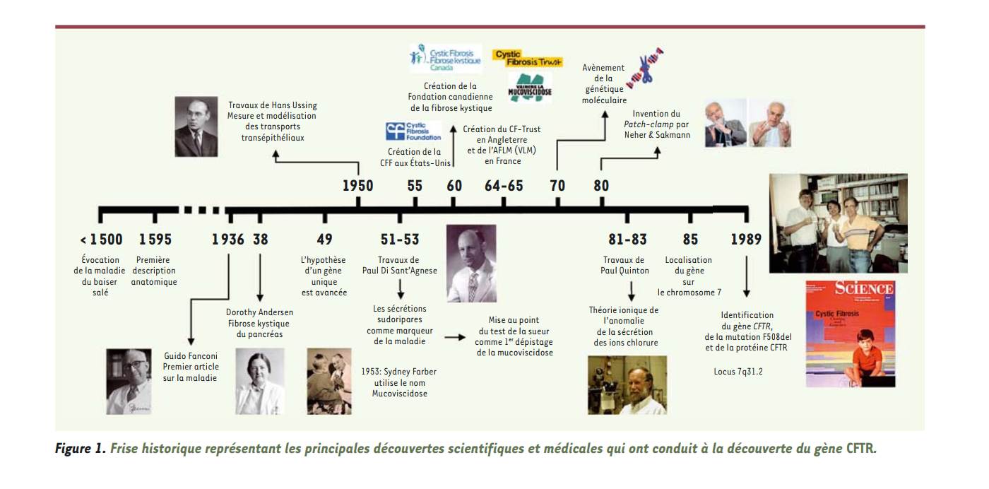 50 ans d'histoire de la recherche pour comprendre la mucoviscidose.